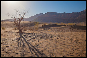 Irán - poušť