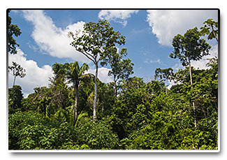 Peru - Amazónie