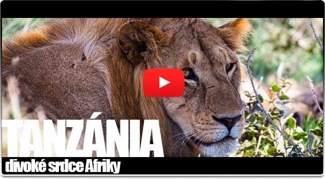 Tanzánia – divoké srdce Afriky